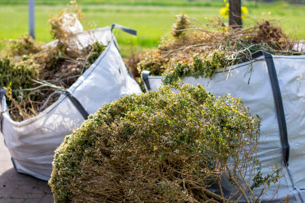 Best Shed Removal  in Vincent, CA